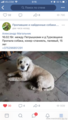 Помогите найти друга!!!